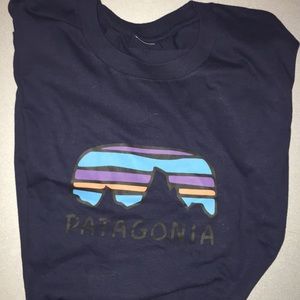 Size M Patagonia Tee Shirt